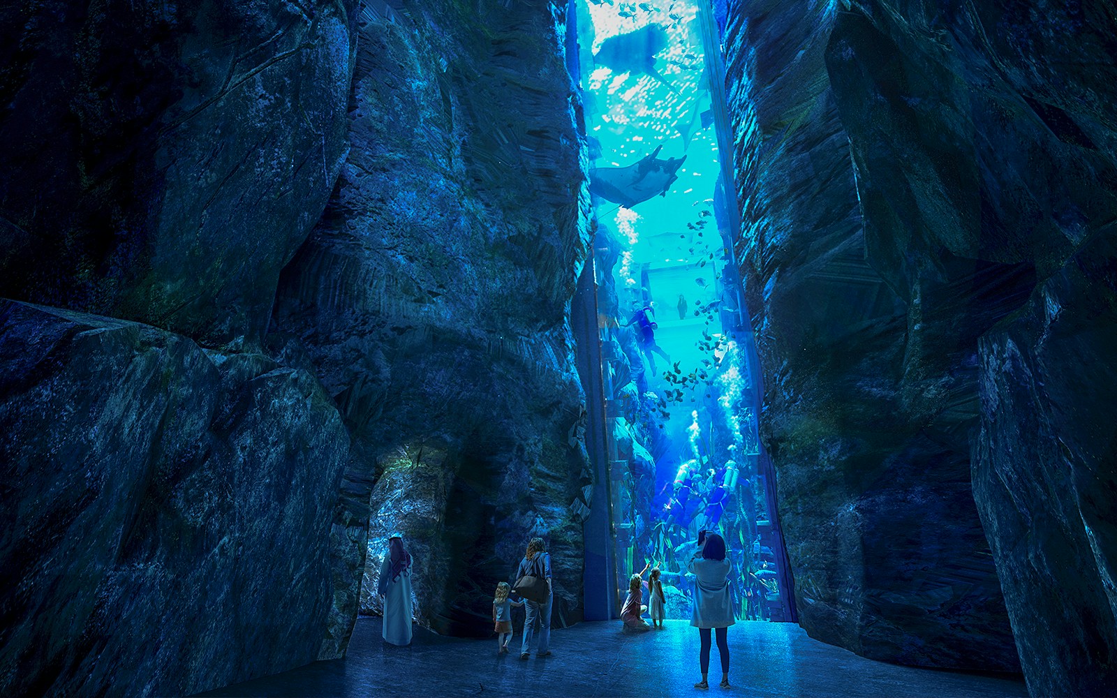 Endless Vista at SeaWorld