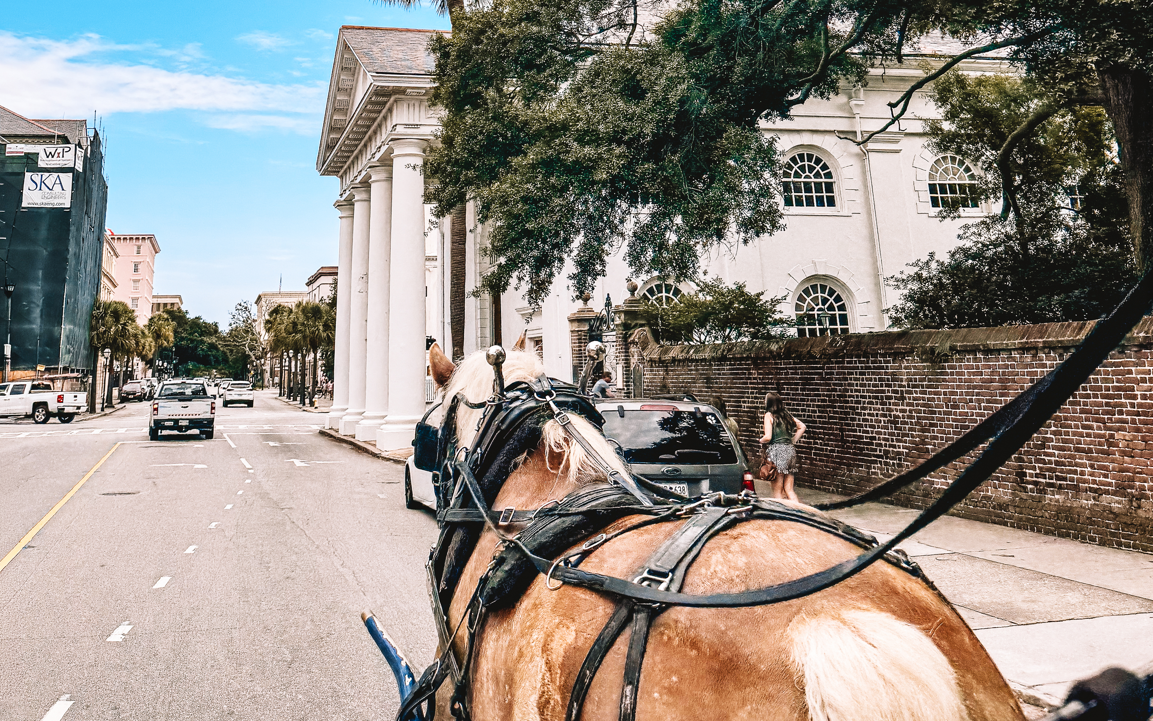 Horse-drawn carriage on a street in Charleston, South Carolina, passing historic buildings.