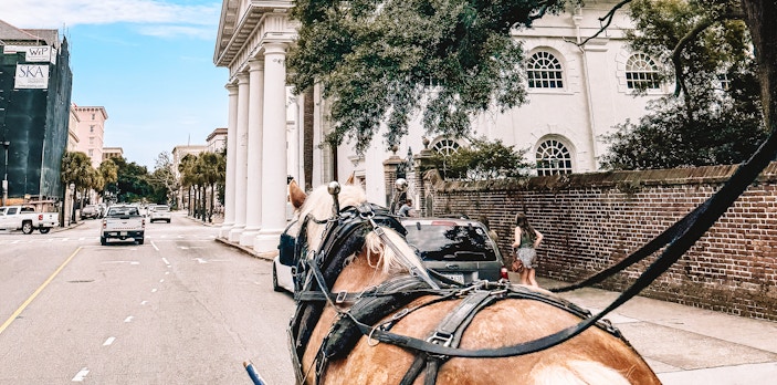 Horse-drawn carriage on a street in Charleston, South Carolina, passing historic buildings.