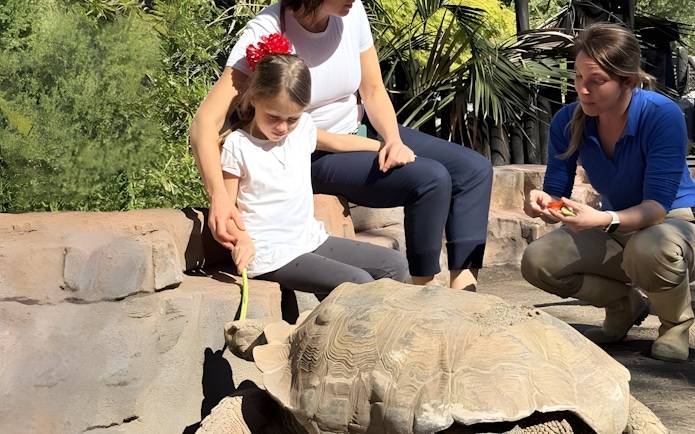 Child feeding turtle at Selwo Marina Park, Spain.