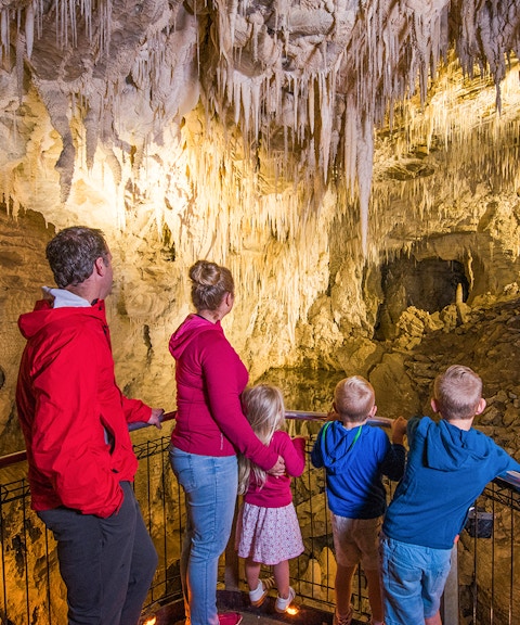 Visitors exploring stalactites in Ruakuri Cave during a guided tour.
