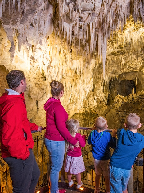 Visitors exploring stalactites in Ruakuri Cave during a guided tour.