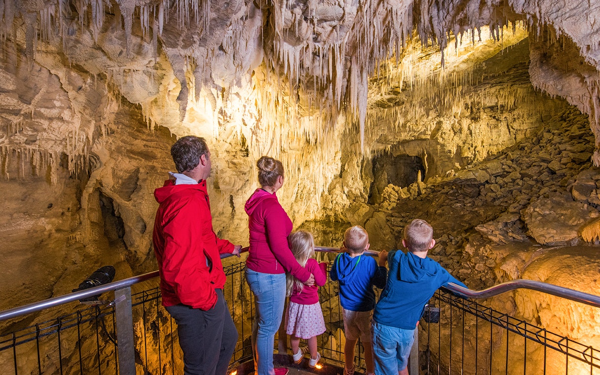 Visitors exploring stalactites in Ruakuri Cave during a guided tour.