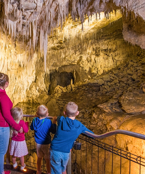 Visitors exploring stalactites in Ruakuri Cave during a guided tour.