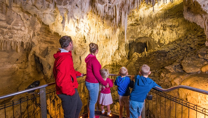Visitors exploring stalactites in Ruakuri Cave during a guided tour.