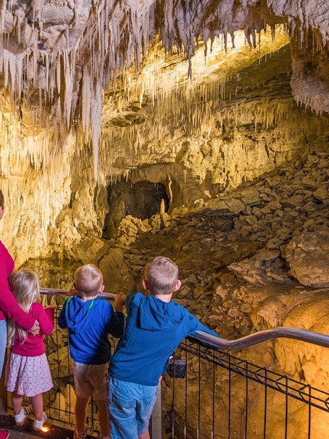 Visitors exploring stalactites in Ruakuri Cave during a guided tour.
