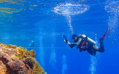 Scuba diver exploring coral reefs and fish in the Red Sea, Hurghada.