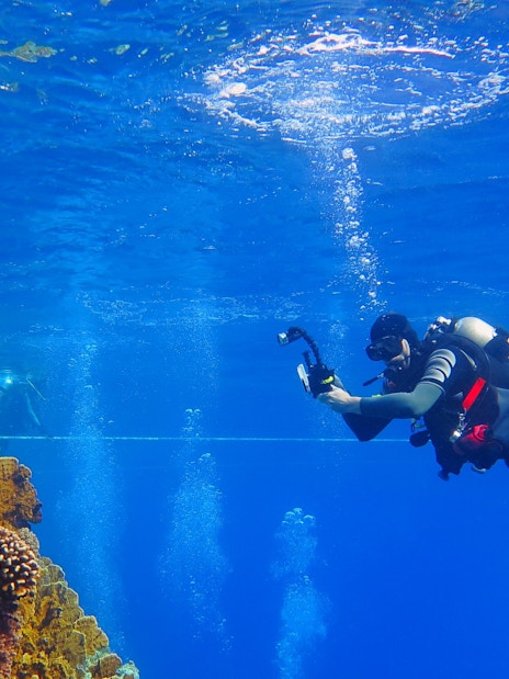 Scuba diver exploring coral reefs and fish in the Red Sea, Hurghada.