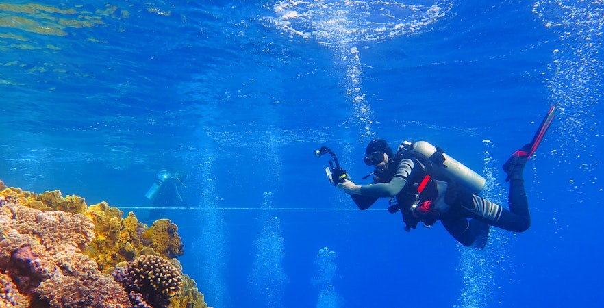 Scuba diver exploring coral reefs and fish in the Red Sea, Hurghada.