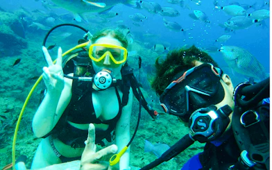 Side Scuba Diving at Side Underwater Museum with Hotel Transfers and Lunch