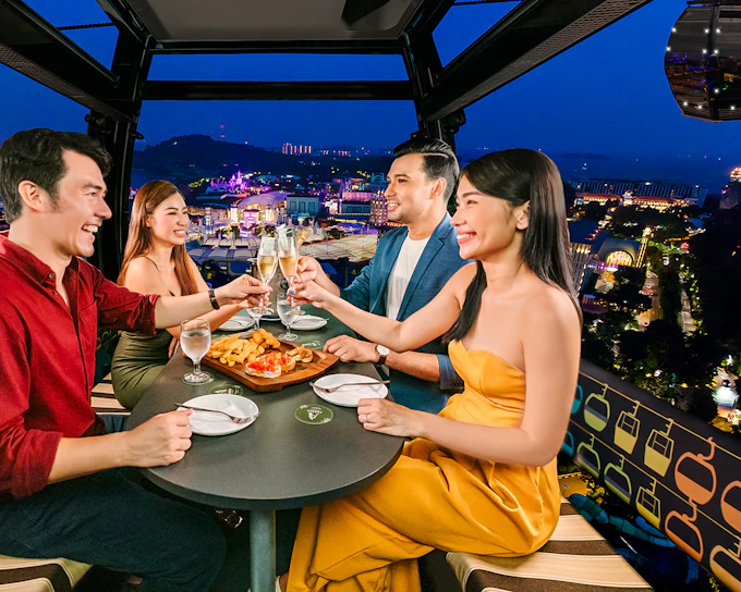 Singapore Cable Car Dining Experience