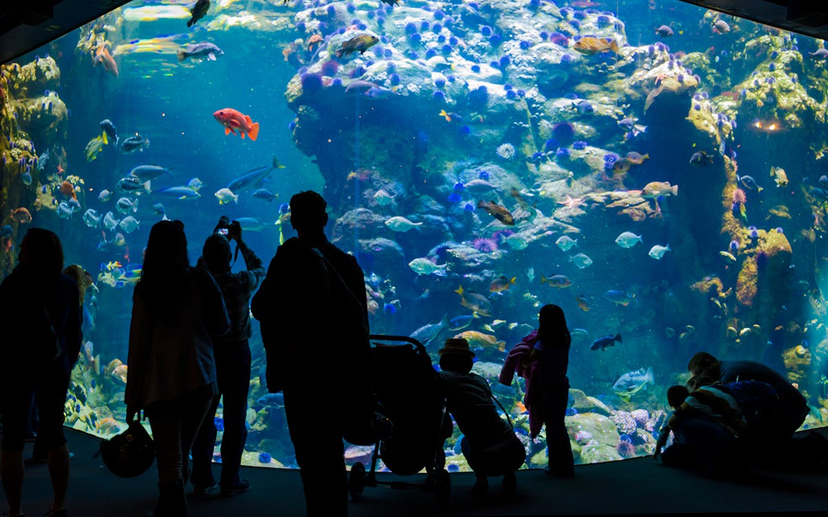 Monterey Bay Aquarium