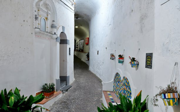 Narrow cobblestone alley in Positano with colorful flower pots and whitewashed walls.