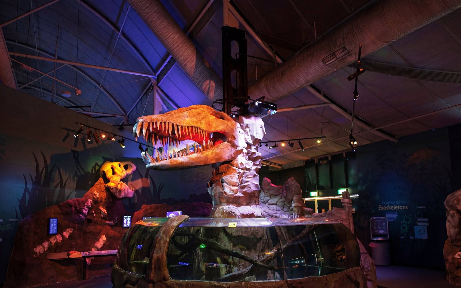 SEA LIFE Sydney Aquarium and Taronga Zoo with Express Ferry tickets