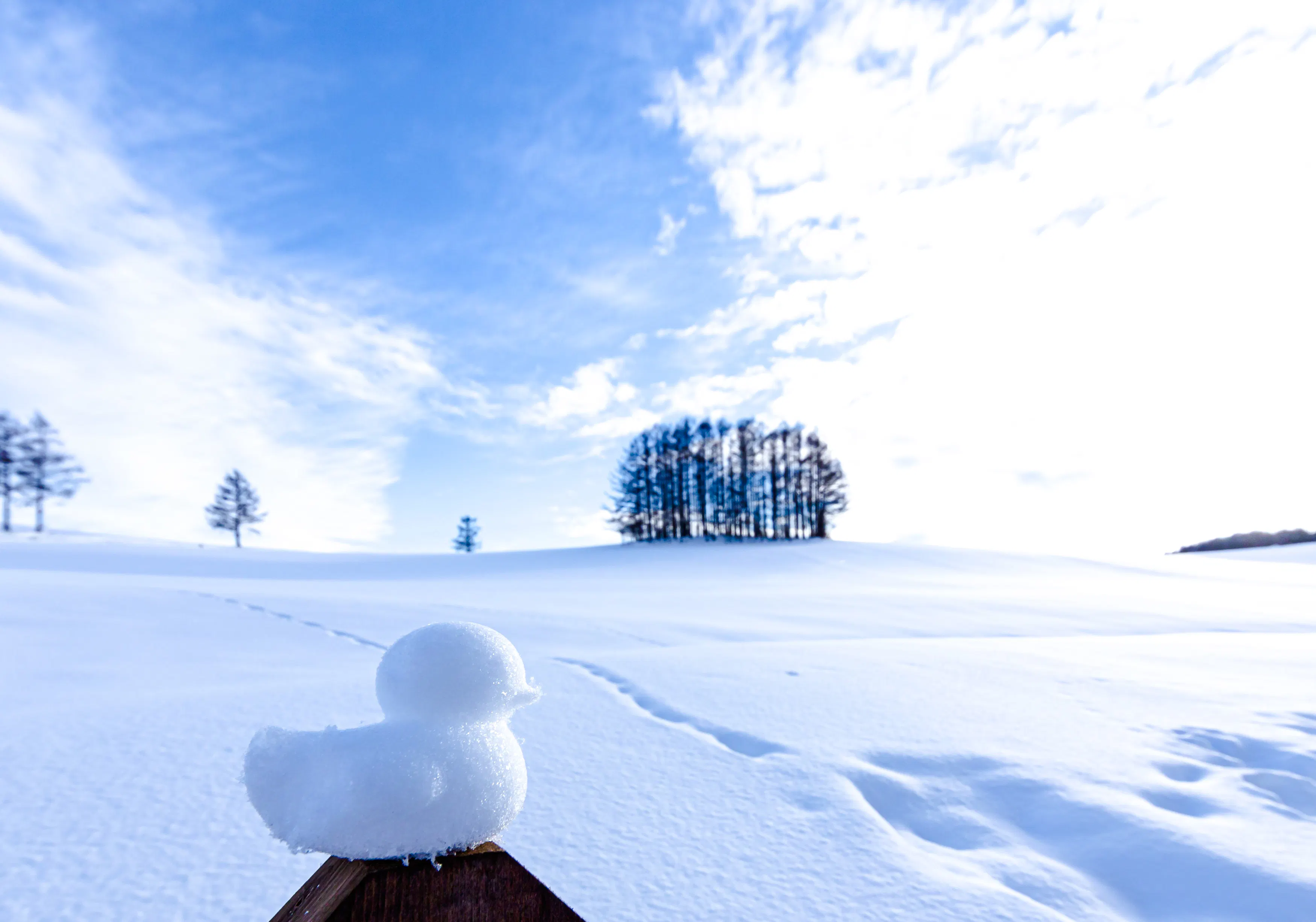 Snow sculpture of a bird in a snowy Biei landscape, Hokkaido, with distant trees.