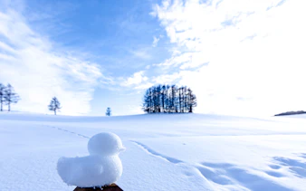 Snow sculpture of a bird in a snowy Biei landscape, Hokkaido, with distant trees.
