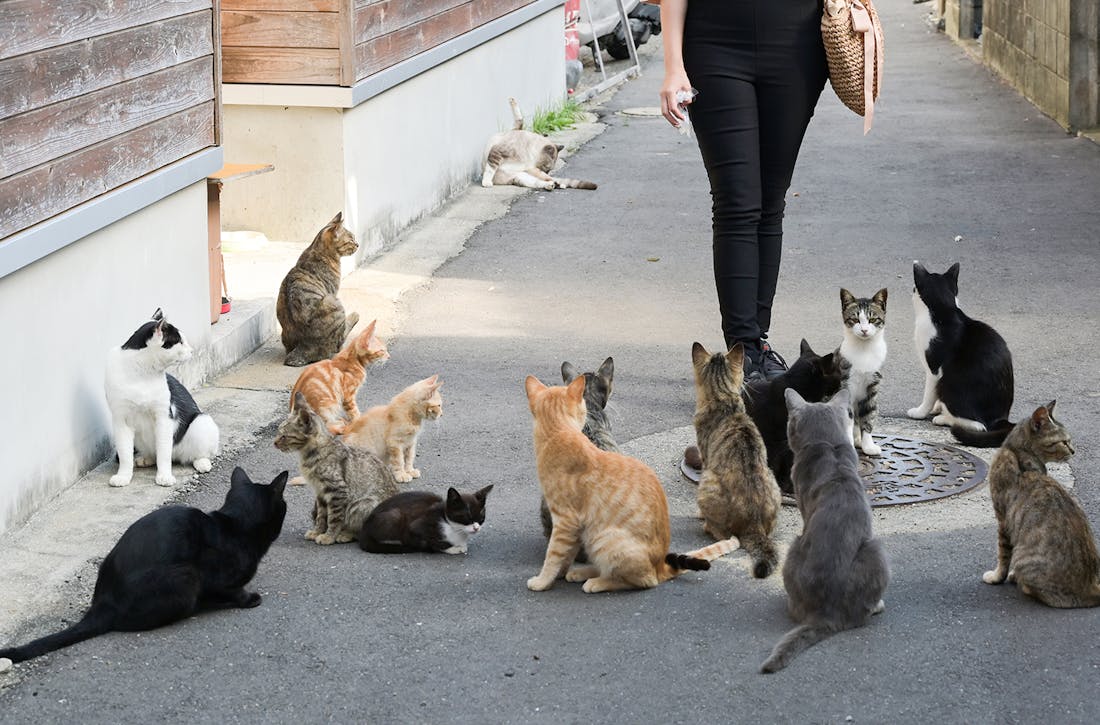 strangest places in the world