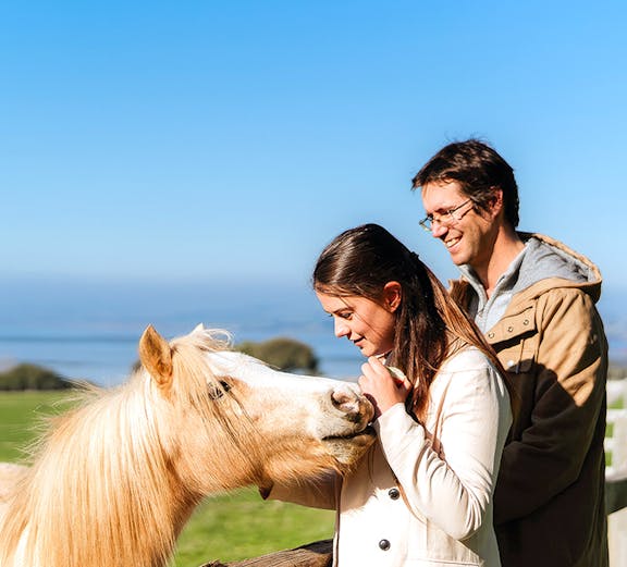Couple petting a horse at Churchill Island farm with ocean view in background.