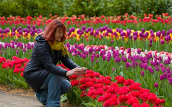 Person photographing vibrant tulips at Keukenhof Gardens during Delft and Keukenhof tour from Brussels.