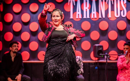 Los Tarantos - Flamenco Show