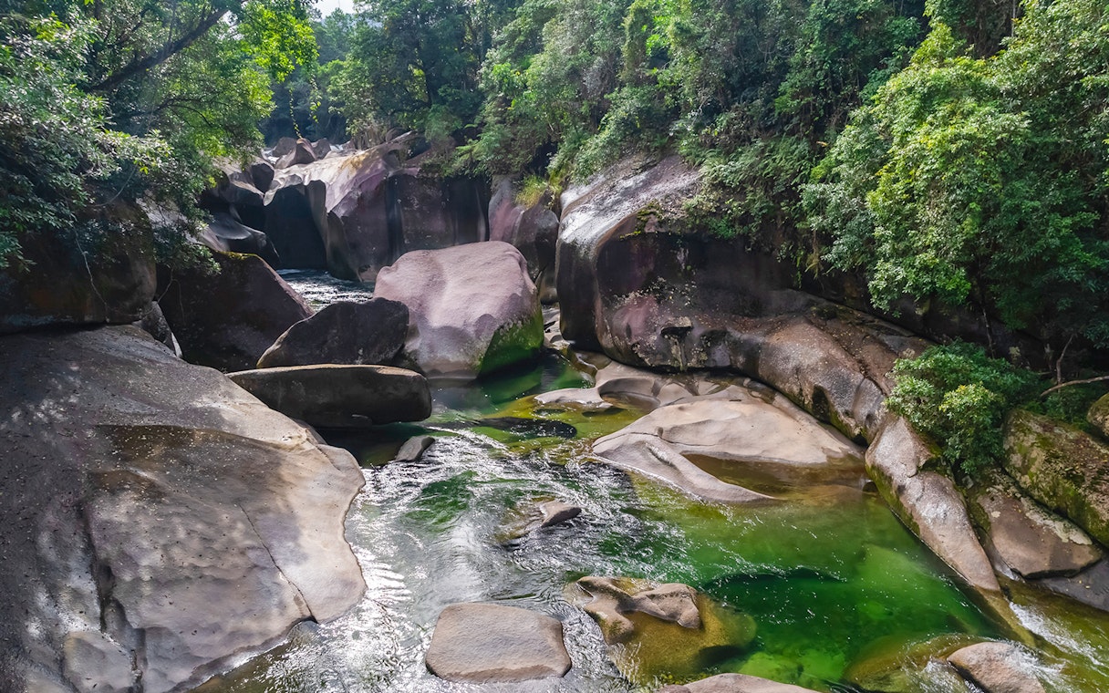 Rocky stream surrounded by lush greenery on the Half-Day Waterfall Wanderers Tour in Queensland.