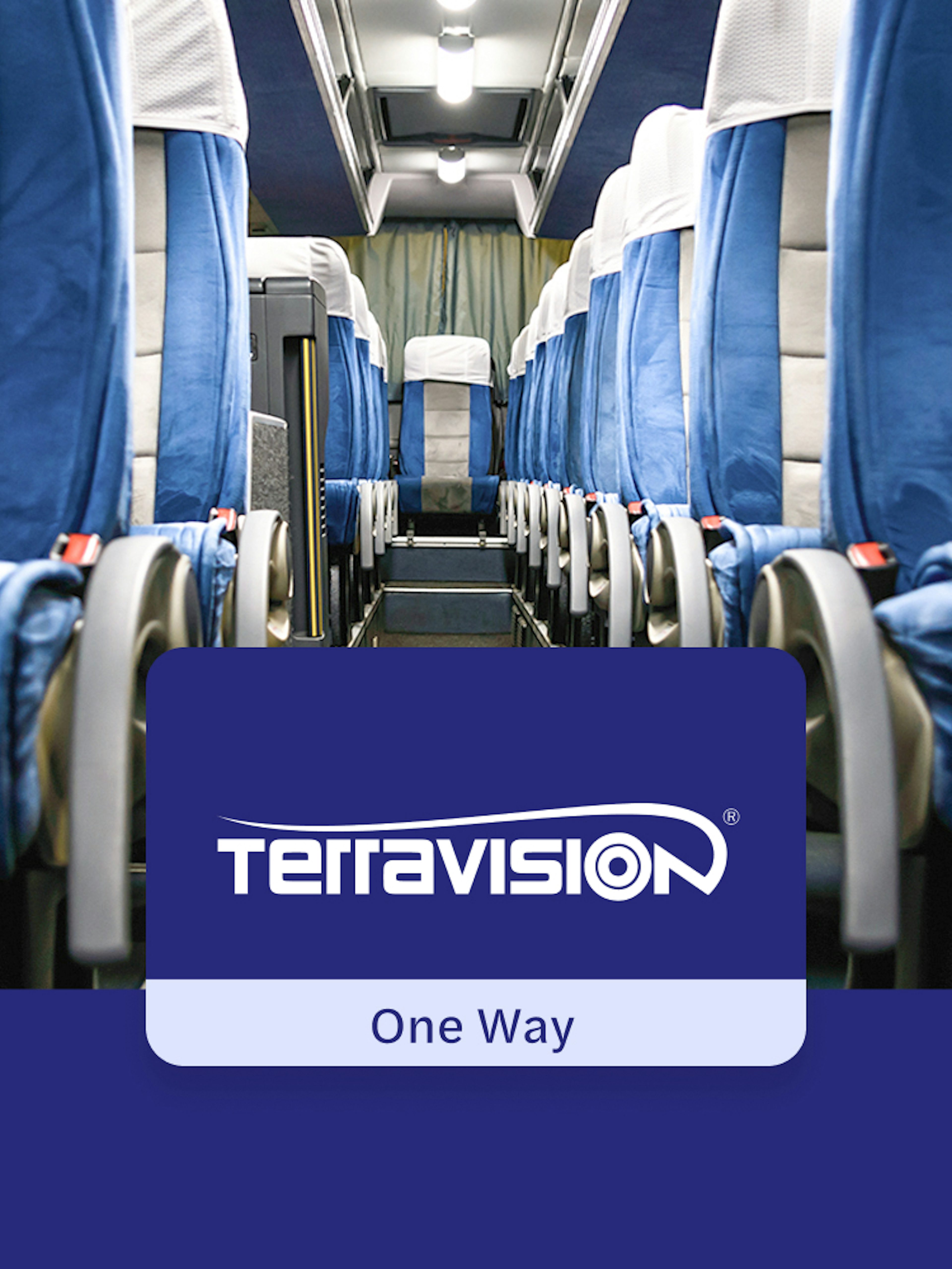 Terravision bus interior for Bergamo Airport to Milan Centrale transfer.