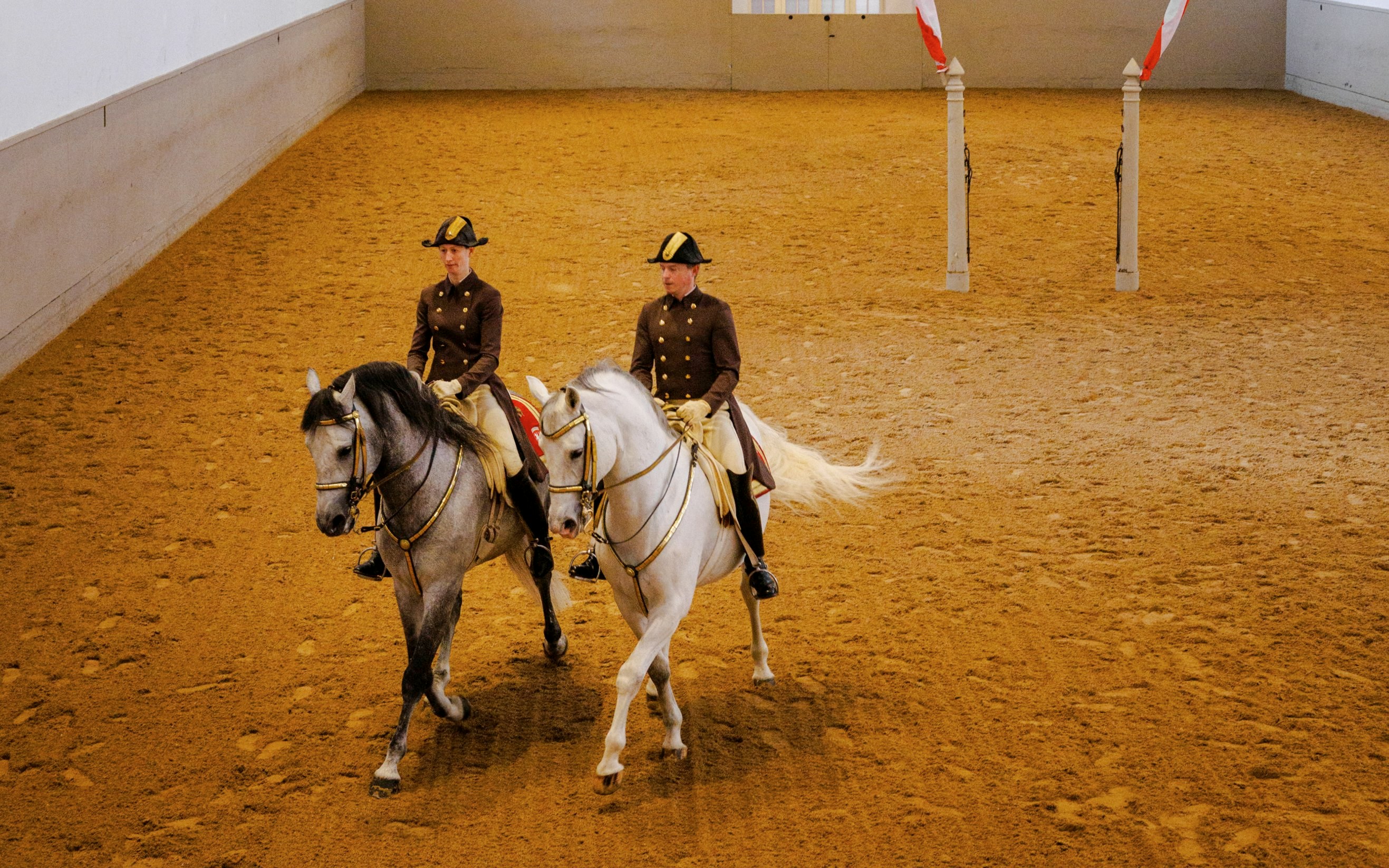 Lippizans performing at the Spanish Riding School in Vienna arena.