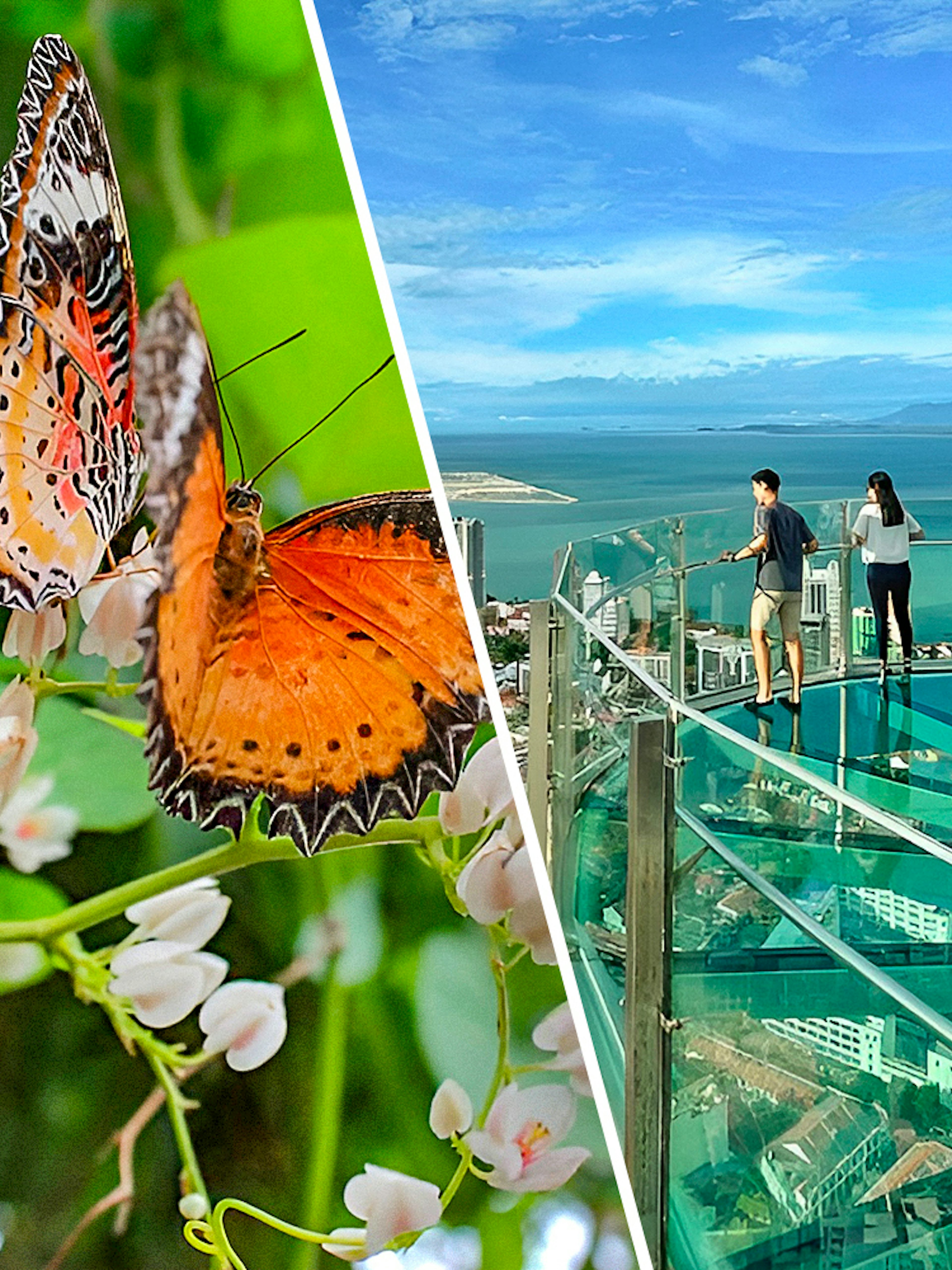 Butterflies at Entopia Penang and visitors on Rainbow Skywalk with city view.