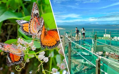 Butterflies at Entopia Penang and visitors on Rainbow Skywalk with city view.