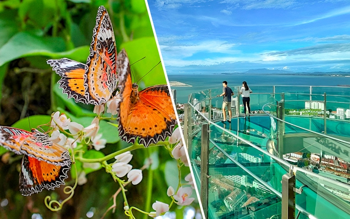 Butterflies at Entopia Penang and visitors on Rainbow Skywalk with city view.