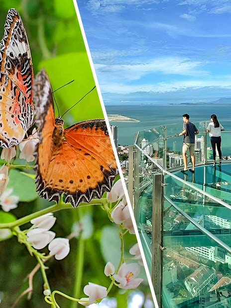 Butterflies at Entopia Penang and visitors on Rainbow Skywalk with city view.