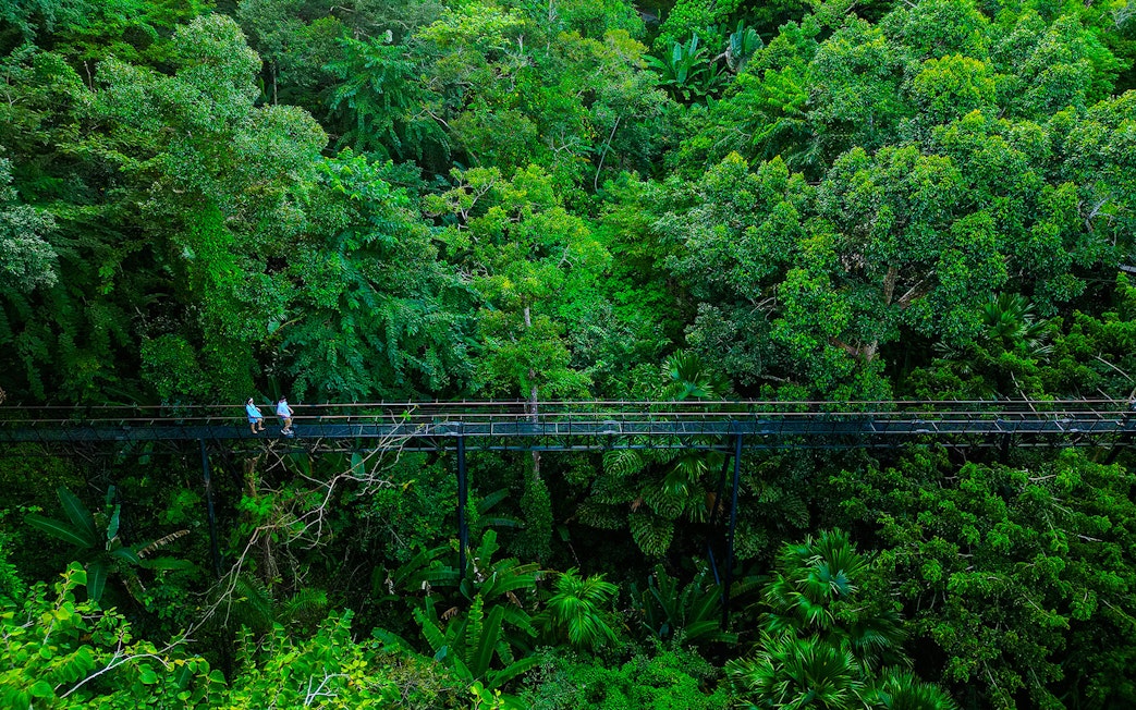 Skywalk through lush forest canopy at Hanuman World, Thailand.