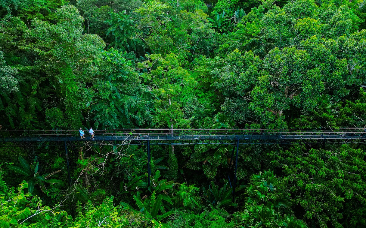Skywalk through lush forest canopy at Hanuman World, Thailand.