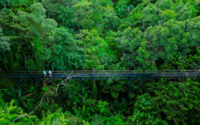 Skywalk through lush forest canopy at Hanuman World, Thailand.