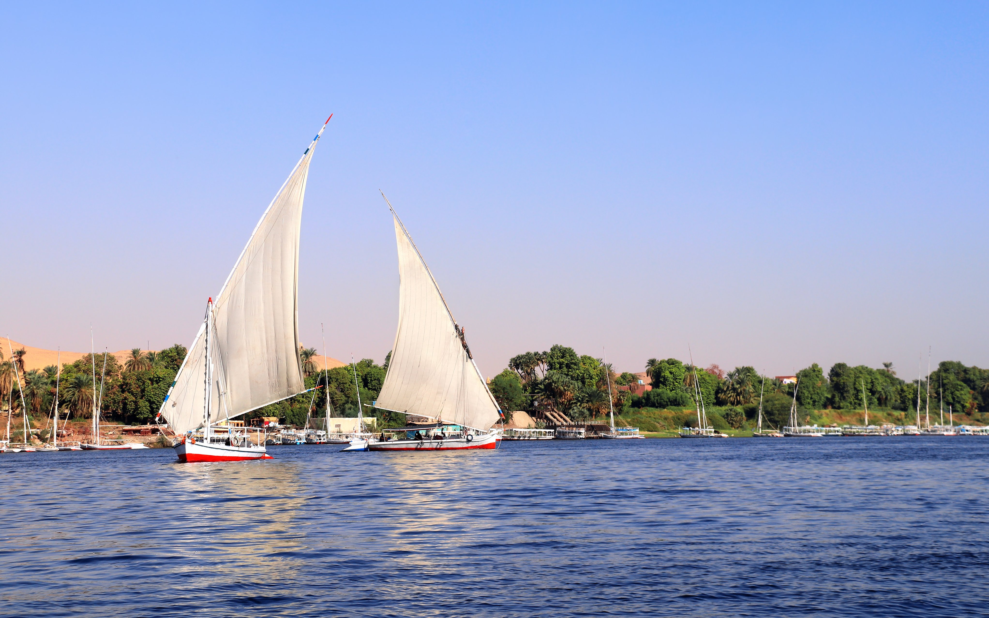 Traditional felucca sailing on the Nile River in Cairo, Egypt.