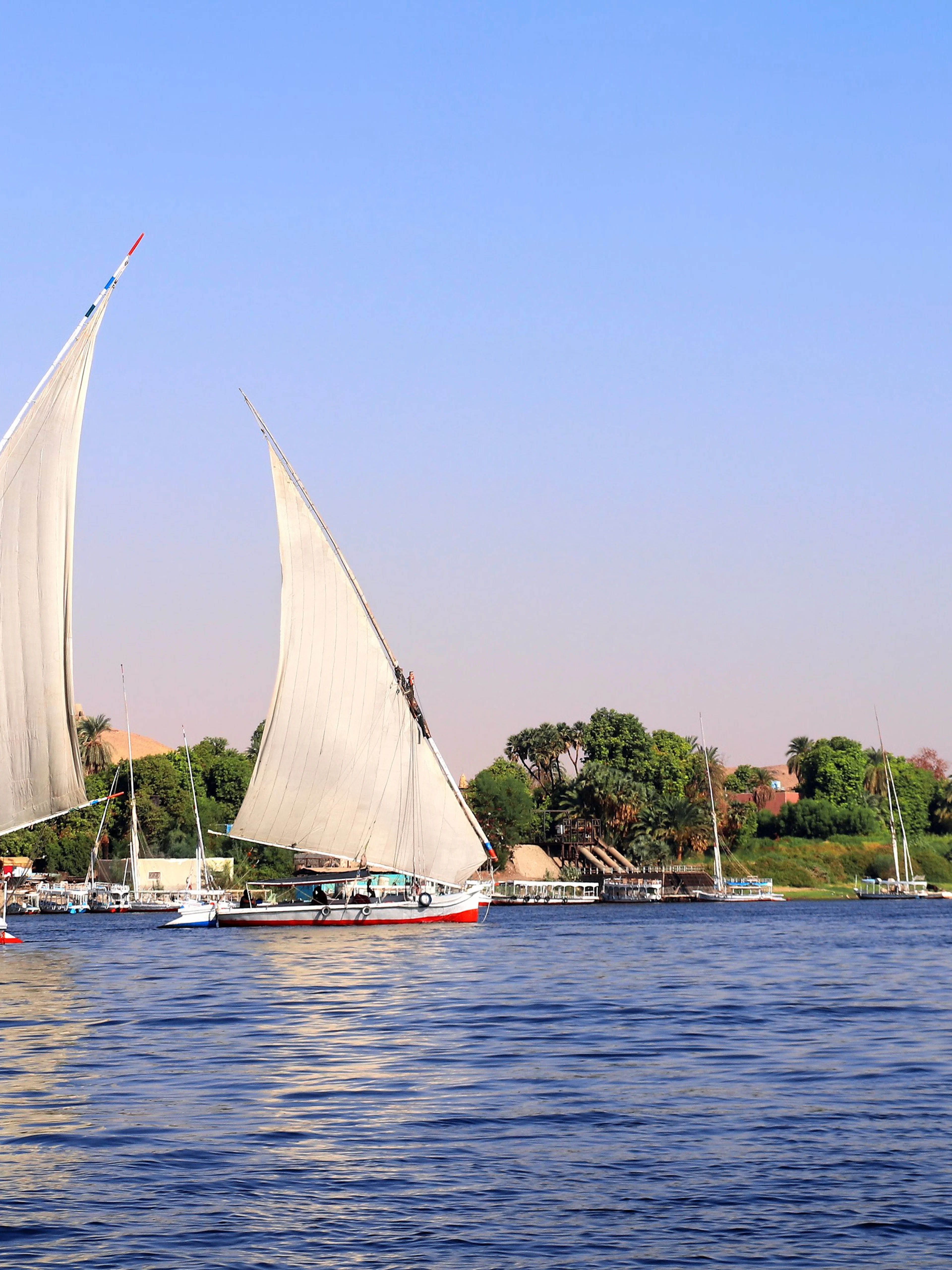 Traditional felucca sailing on the Nile River in Cairo, Egypt.