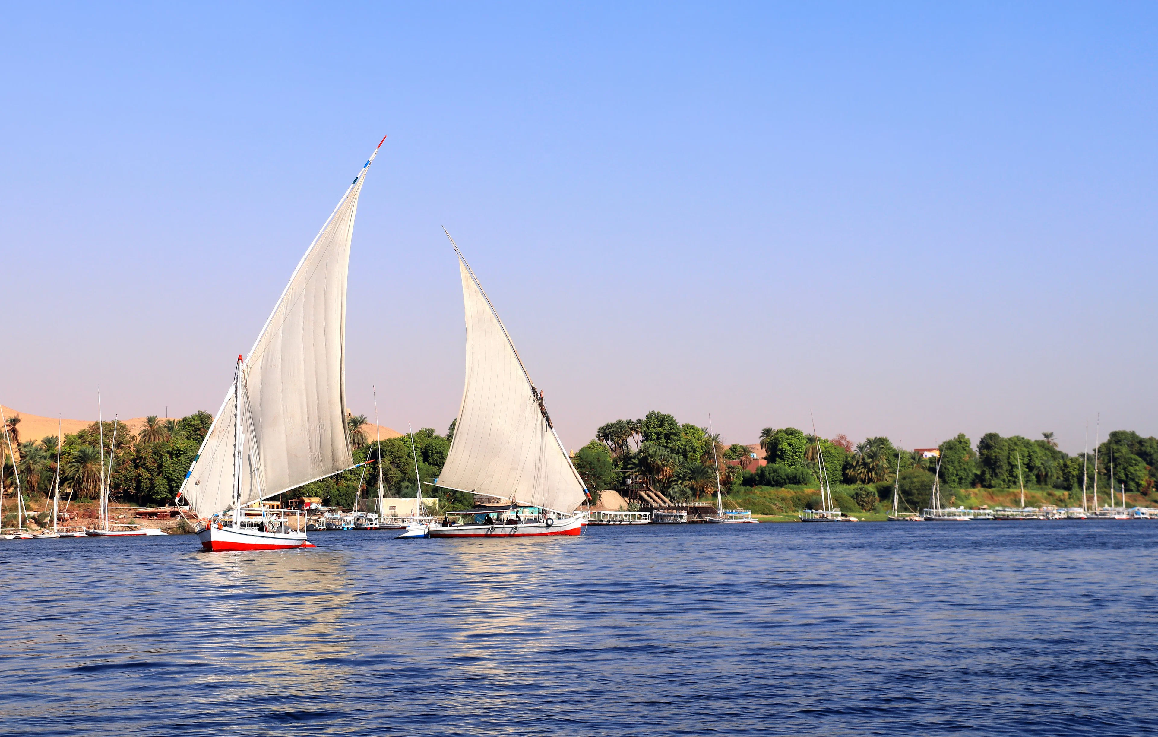 Traditional felucca sailing on the Nile River in Cairo, Egypt.
