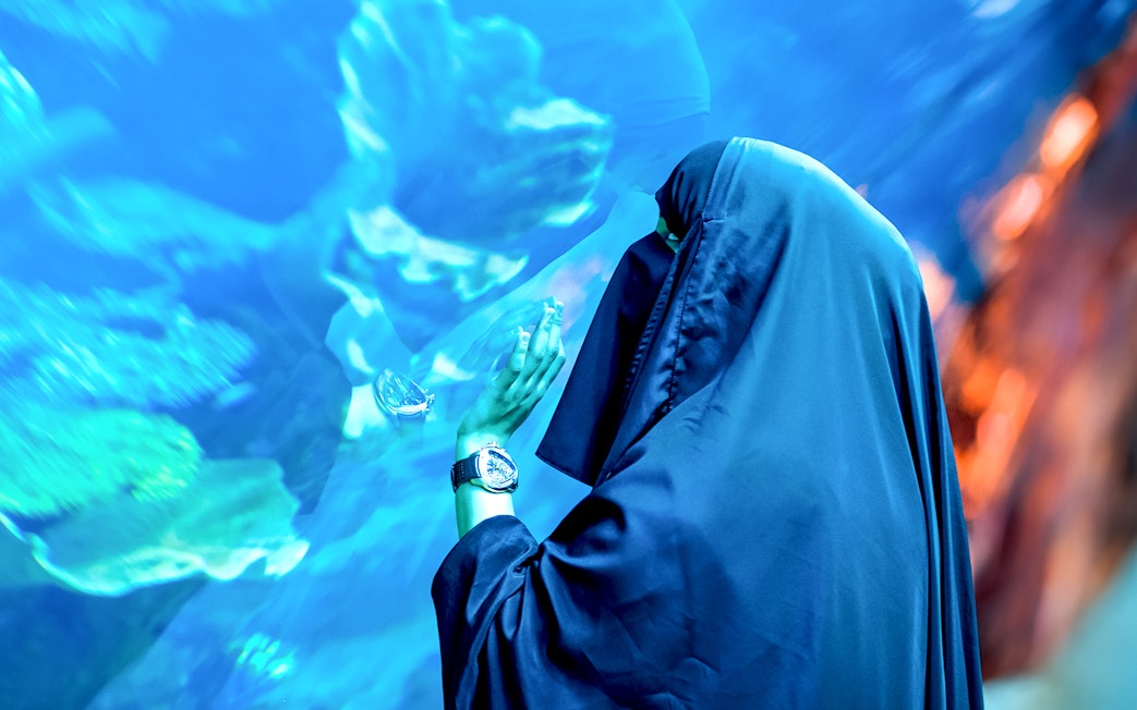 Person observing marine life at Dubai Aquarium Underwater Zoo.