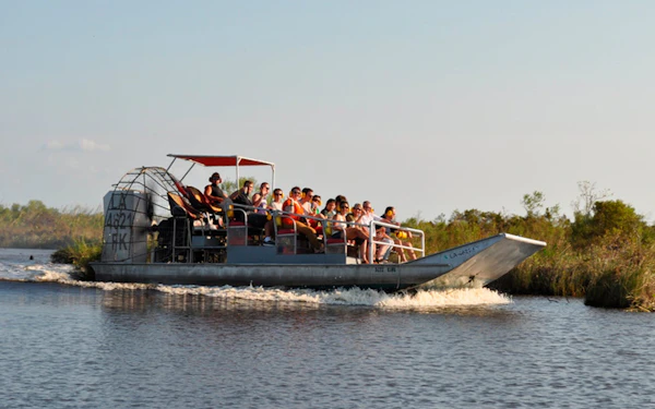 Large Airboat Swamp Adventure Tour from New Orleans