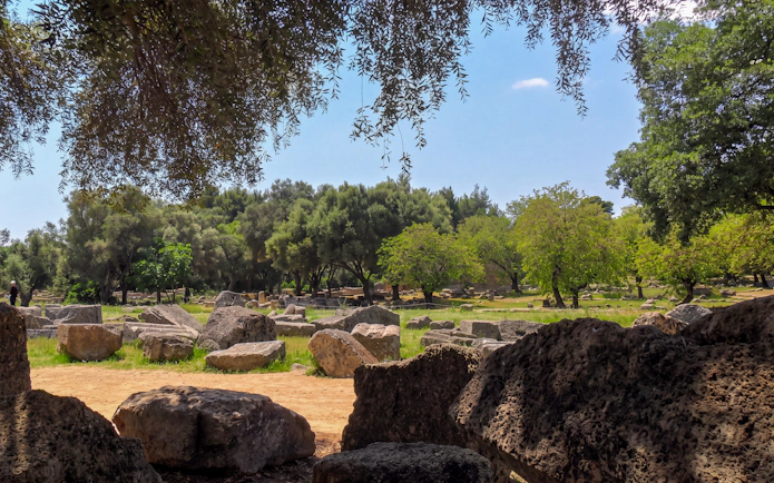 Ancient Olympia ruins surrounded by trees, viewed from Katakolo tour path.