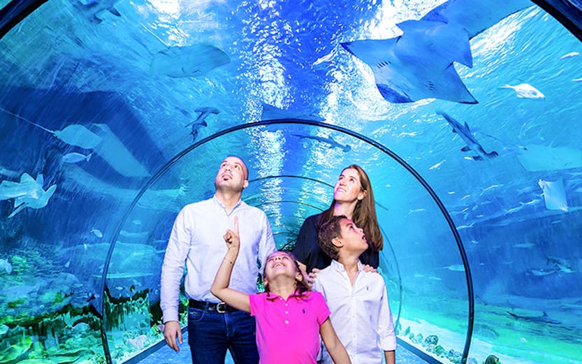 Family exploring underwater tunnel at aquarium with sharks swimming above.