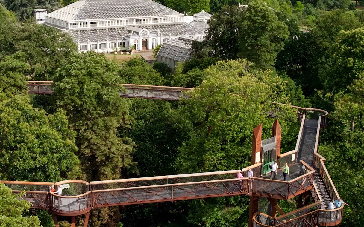 Aerial view of Treetop Walkway in Kew Gardens, London, surrounded by lush greenery.