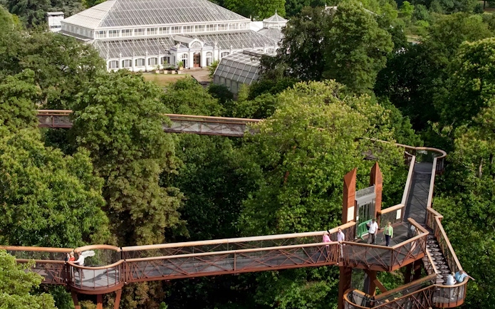 Aerial view of Treetop Walkway in Kew Gardens, London, surrounded by lush greenery.