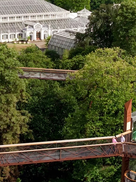 Aerial view of Treetop Walkway in Kew Gardens, London, surrounded by lush greenery.