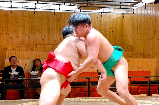 Sumo Show with Chanko-Nabe Dinner, Souvenir Photo & Ring Challenge · Asakusa
