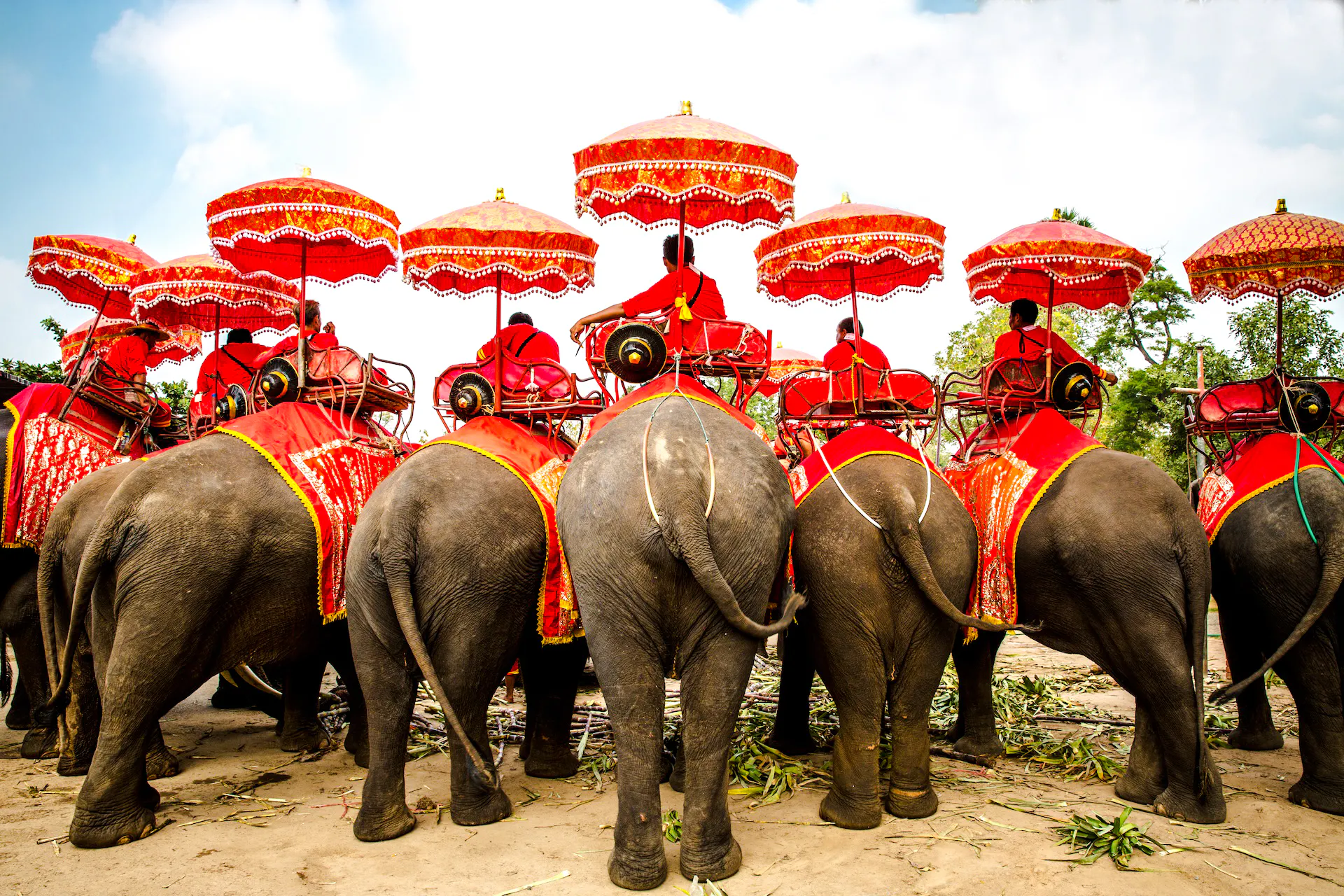 From Bangkok: Private Ayutthaya Historical Park Day Tour Image 6