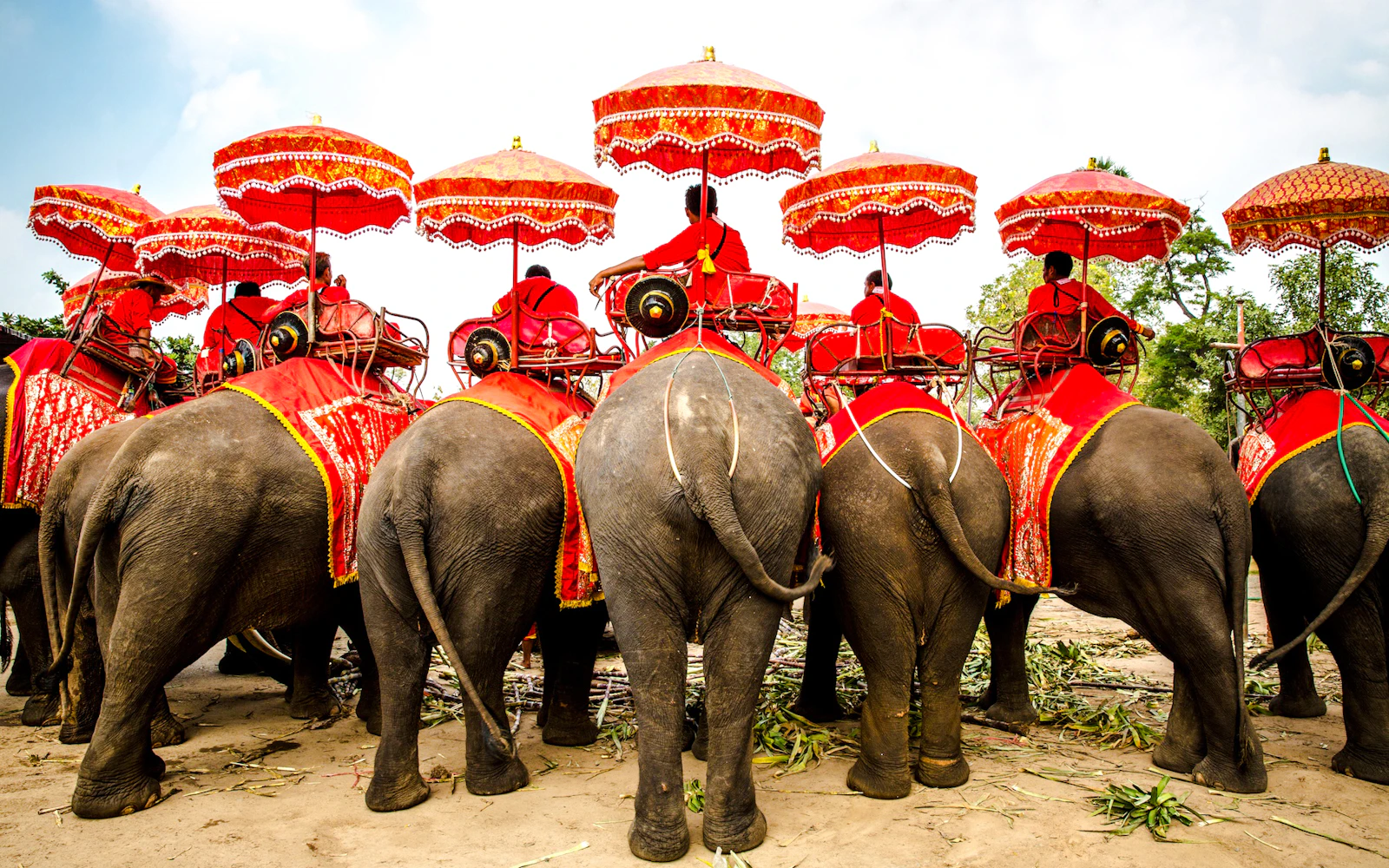 From Bangkok: Private Ayutthaya Historical Park Day Tour Image 6