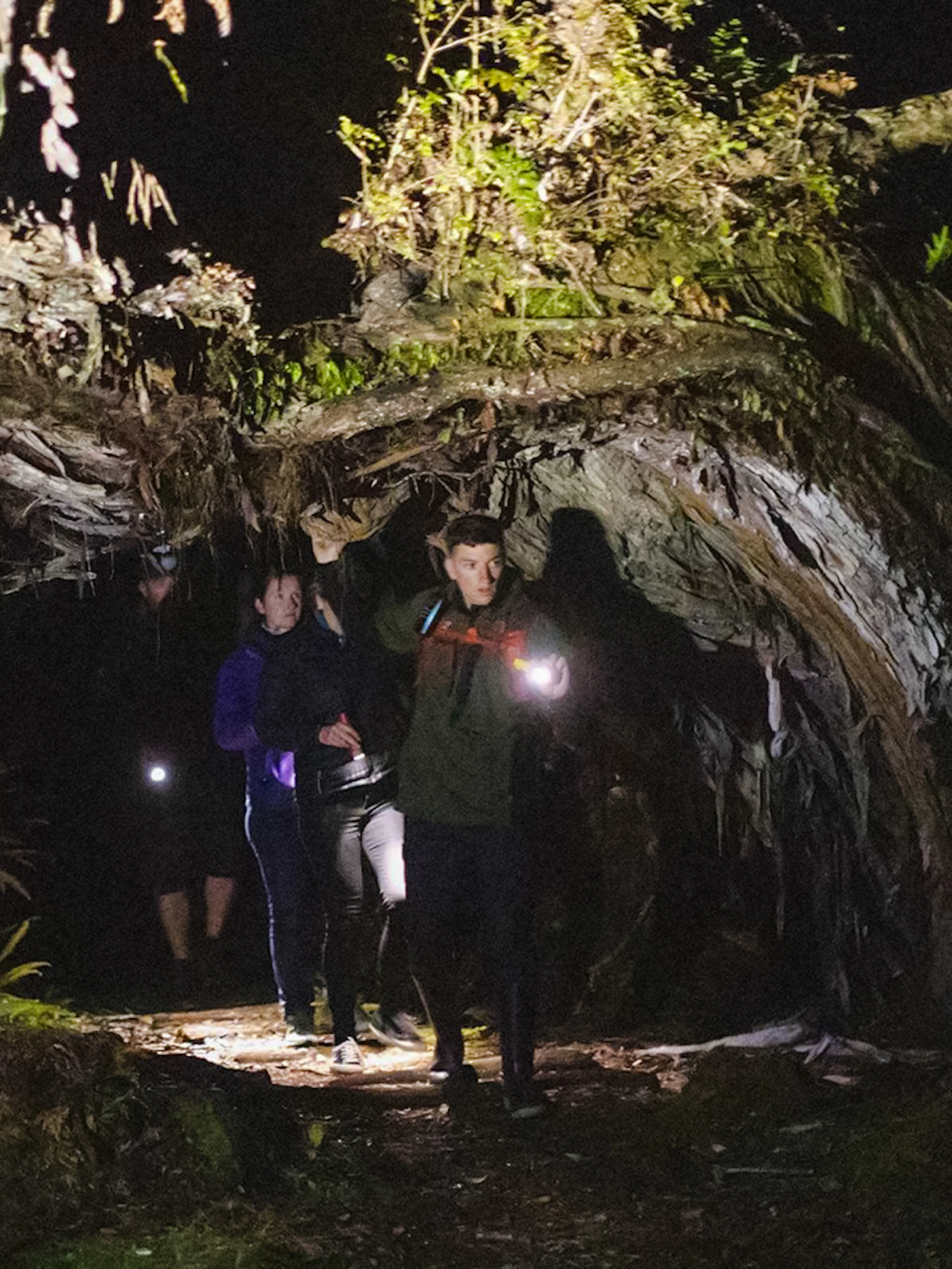 Explorers with flashlights in a dark forest during a kiwi encounter tour on Stewart Island.