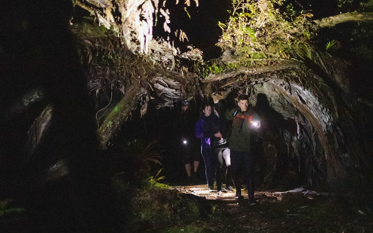 Explorers with flashlights in a dark forest during a kiwi encounter tour on Stewart Island.