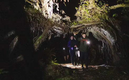 Explorers with flashlights in a dark forest during a kiwi encounter tour on Stewart Island.